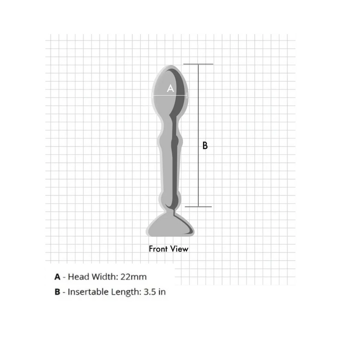 Aneros Tempo Unisex Stainless Steel Anal Stimulator