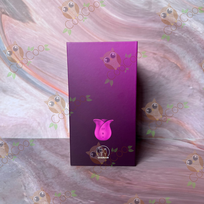 Satisfyer Pro 2 Modern and Classic Blossom