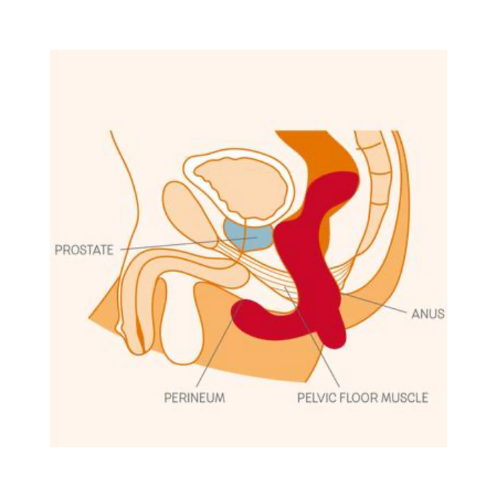 Fun Factory Duke Prostate Massager - Blue