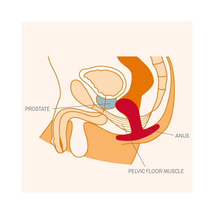 Fun Factory Bootie Anal Butt Plug